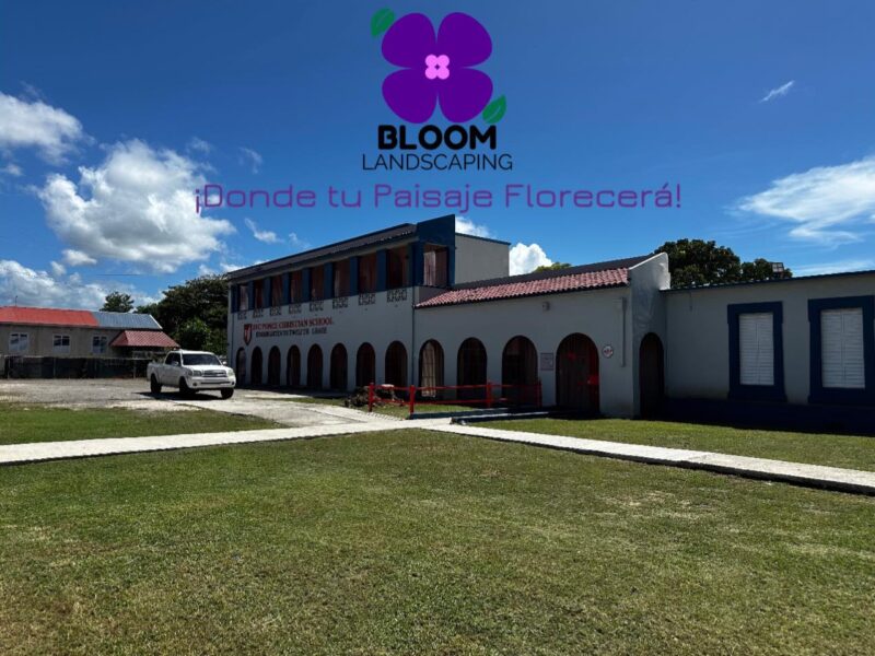 Bloom Landscaping