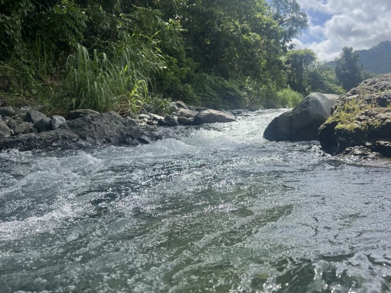 HACIENDA KAMPO HERMOSO🇵🇷🌺