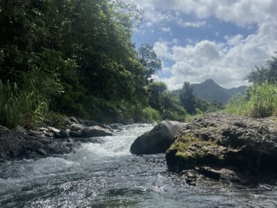 HACIENDA KAMPO HERMOSO🇵🇷🌺