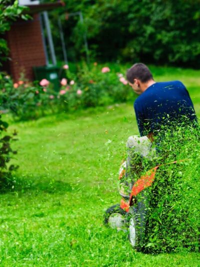 Jardinería